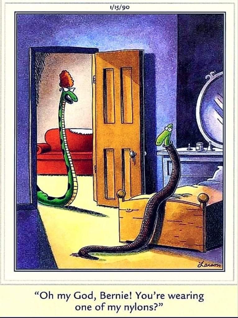 Far-side-comics-of-gary-larson