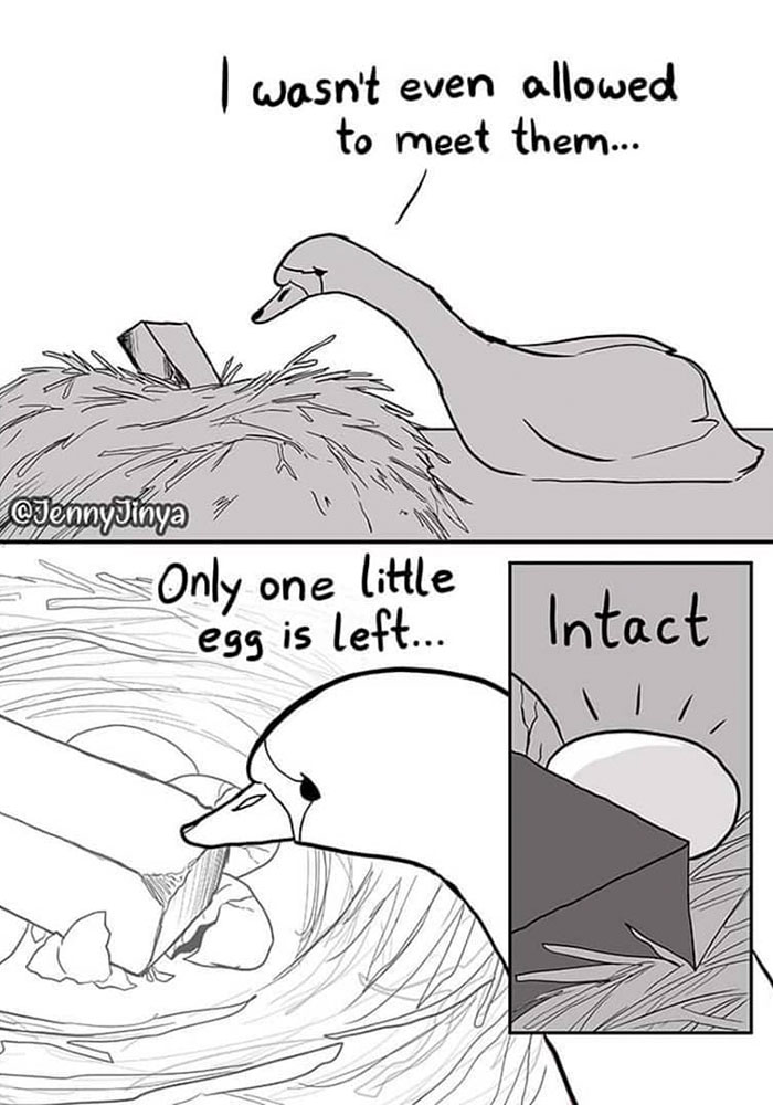 Swan is broke