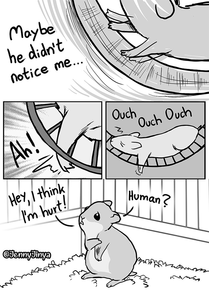 The artist who makes people cry with her animal comics has just released a new one about a neglected hamster.