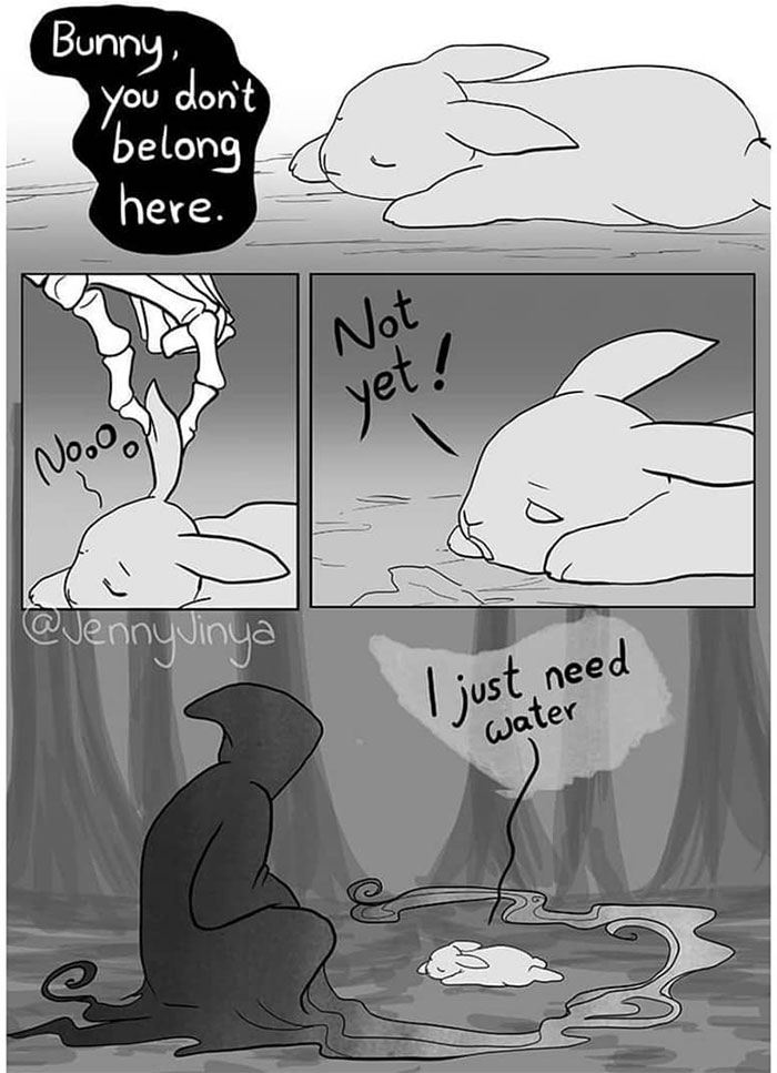 The Same Artist Who Made People Cry With Her animal Comics Just Released A New One With A Bunny