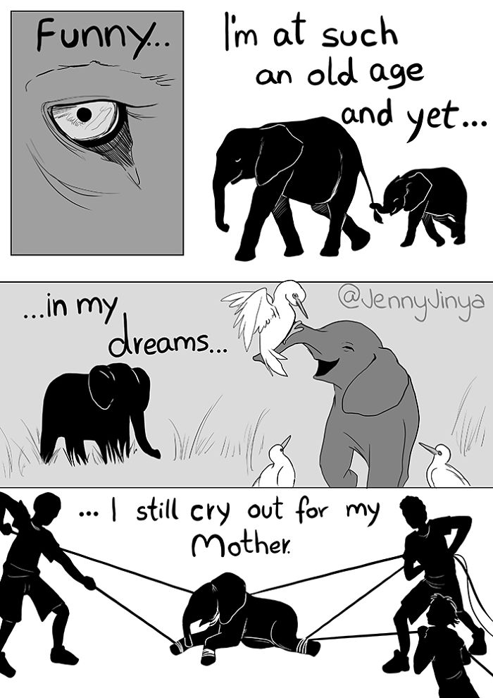 Artist Who Made People Cry With her Animal Comics Is Back, And This Time It’s About Elephant