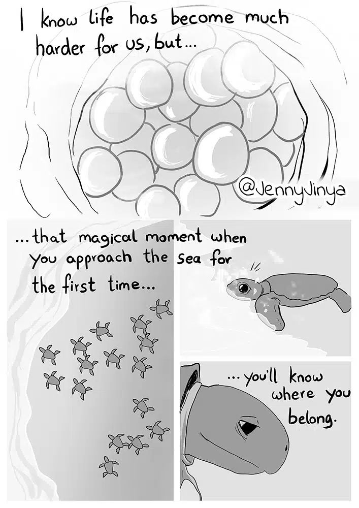 Jenny Jinya's sea turtle comic 