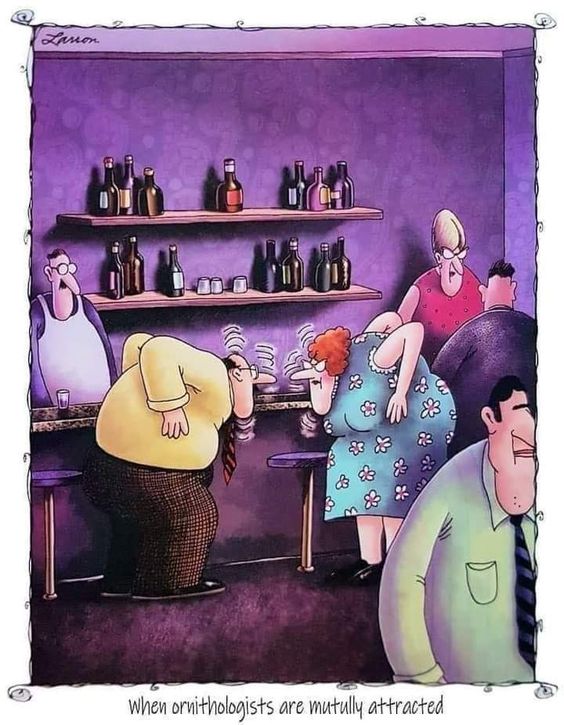 Dark humor far side comic 