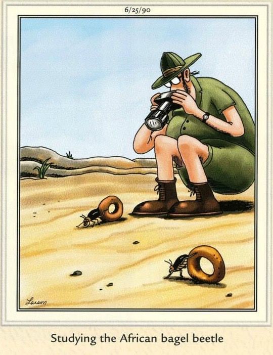 Dark humor far side comic 