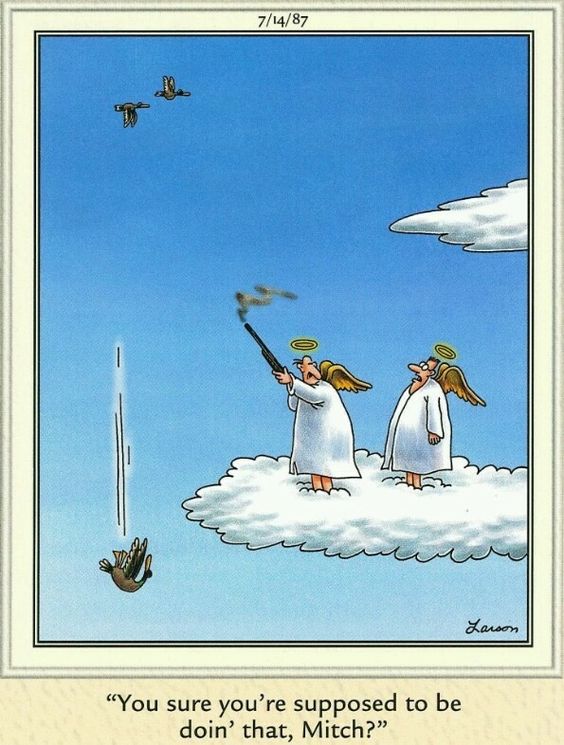 Dark humor far side comic 