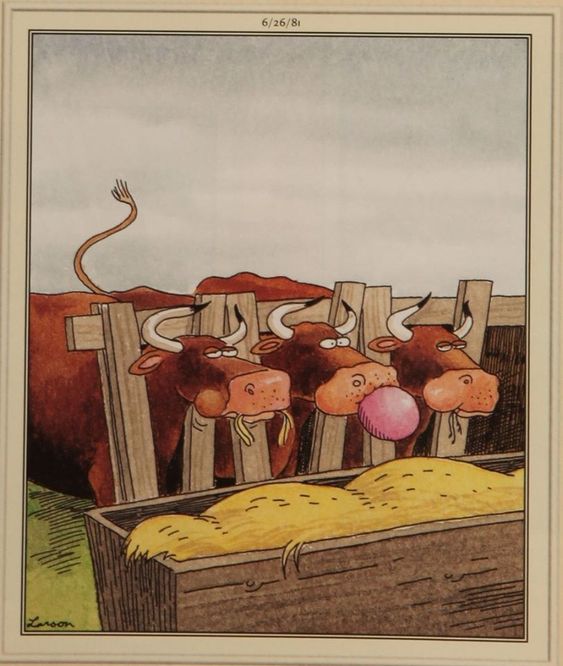 Funny far side comics 