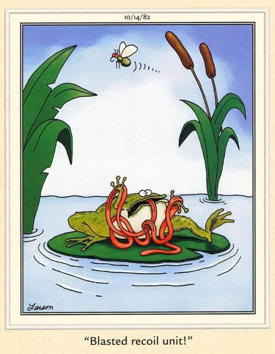 Funny far side comics 