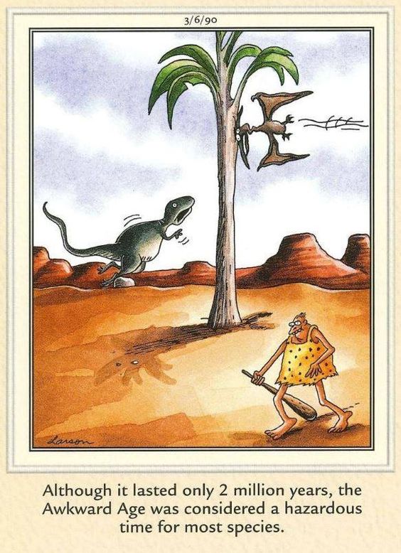 Funny far side comics 