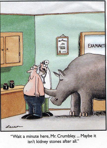 Funny far side comics 