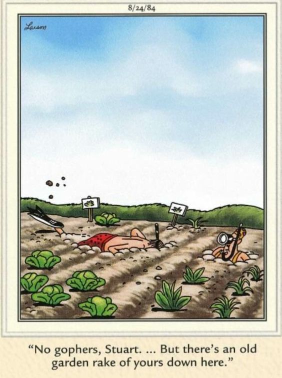 Funny far side comics 