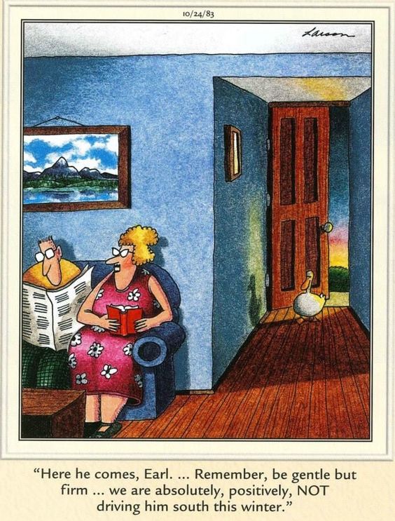 Funny far side comics 