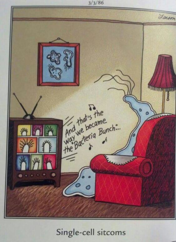 The 21 Far Side One-Panel Comics That Are Too Funny to Handle