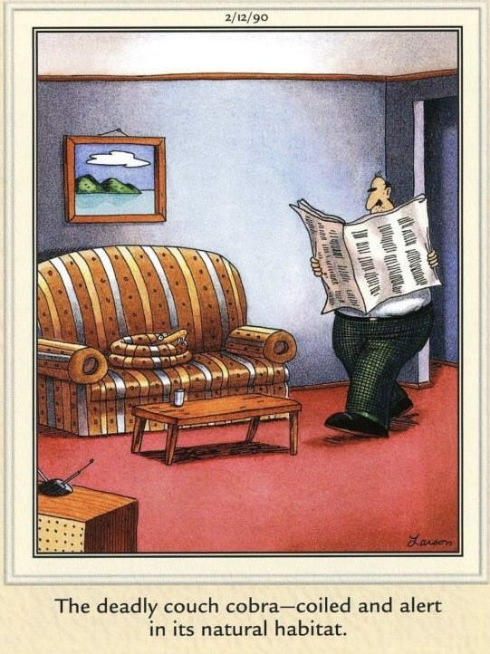 Silly-far-side-comics-of-gary-larson