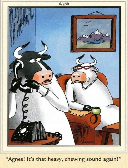 Silly-far-side-comics-of-gary-larson