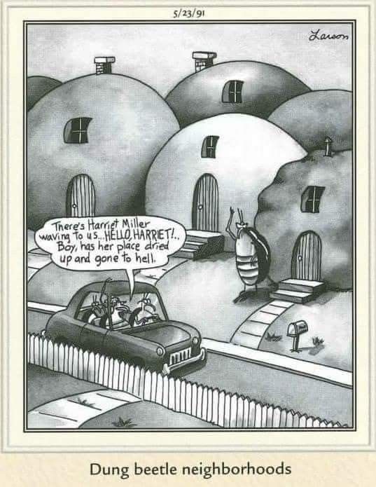 Far-side-comics-of-gary-larson