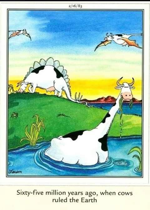 Far-side-comics-of-gary-larson