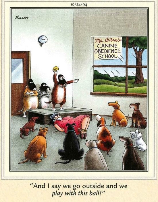 Far-side-comics-of-gary-larson