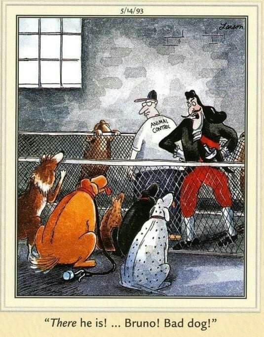 Far-side-comics-of-gary-larson